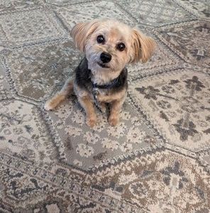 Meet your Posher, Becky